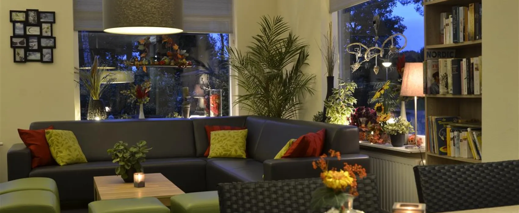 Camping Harfsen de Waterjuffer