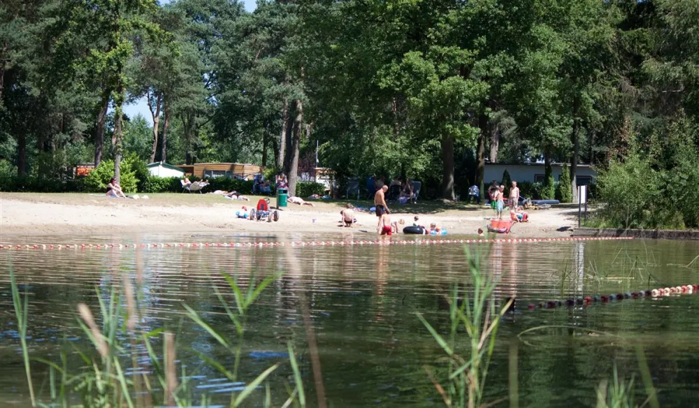 Camping Harfsen de Waterjuffer