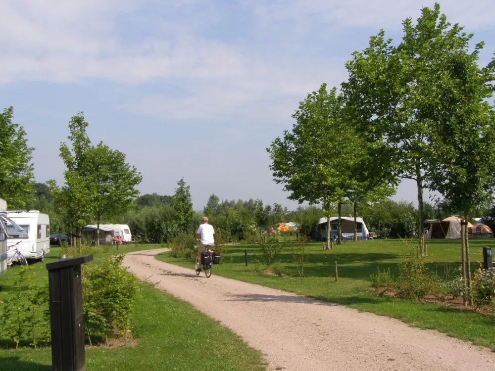 Camping Harfsen de Waterjuffer