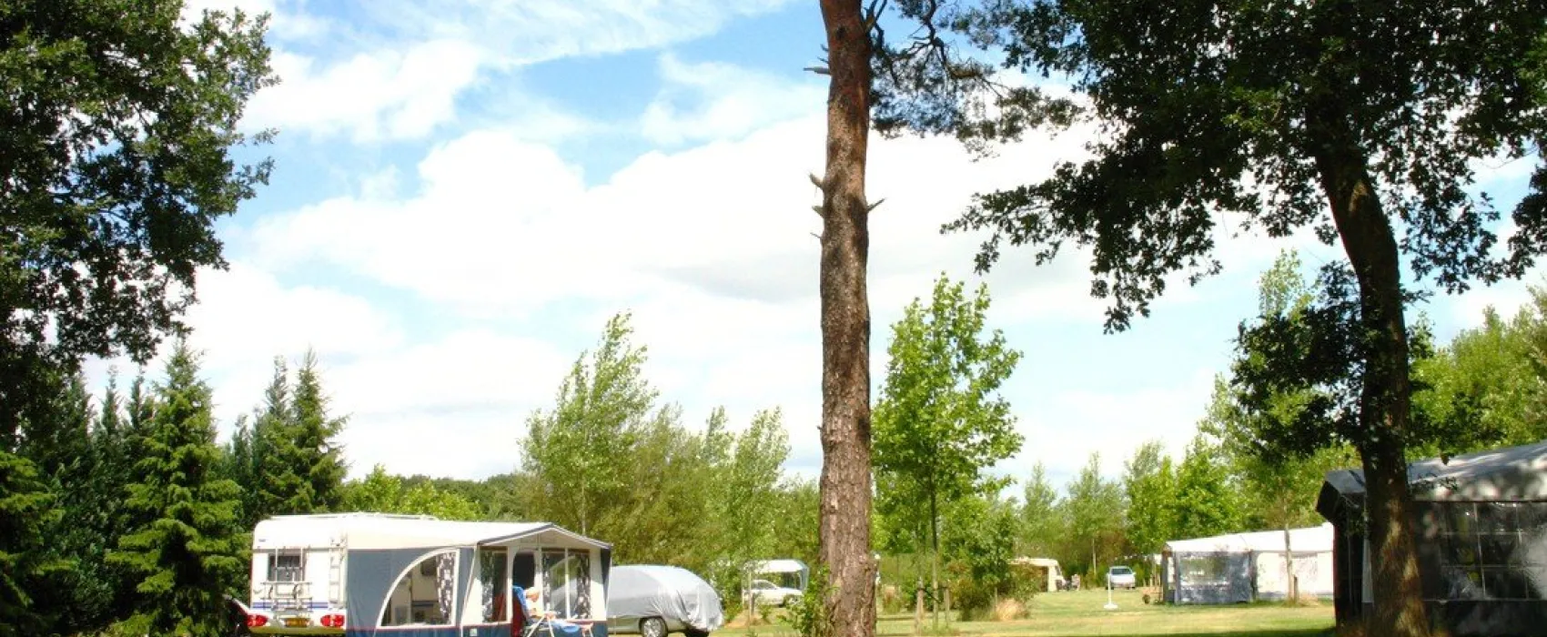 Camping Harfsen de Waterjuffer