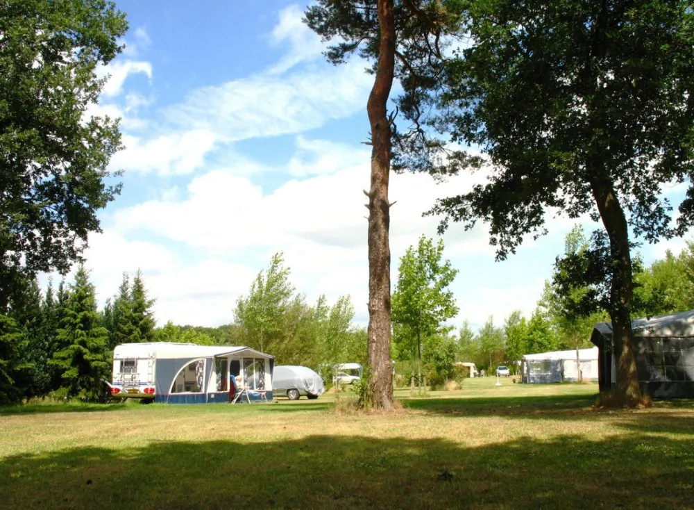Camping Harfsen de Waterjuffer