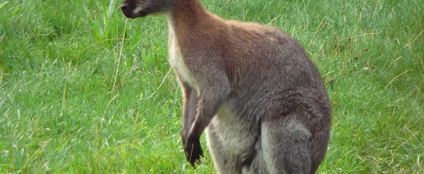 Camping Harfsen de Waterjuffer