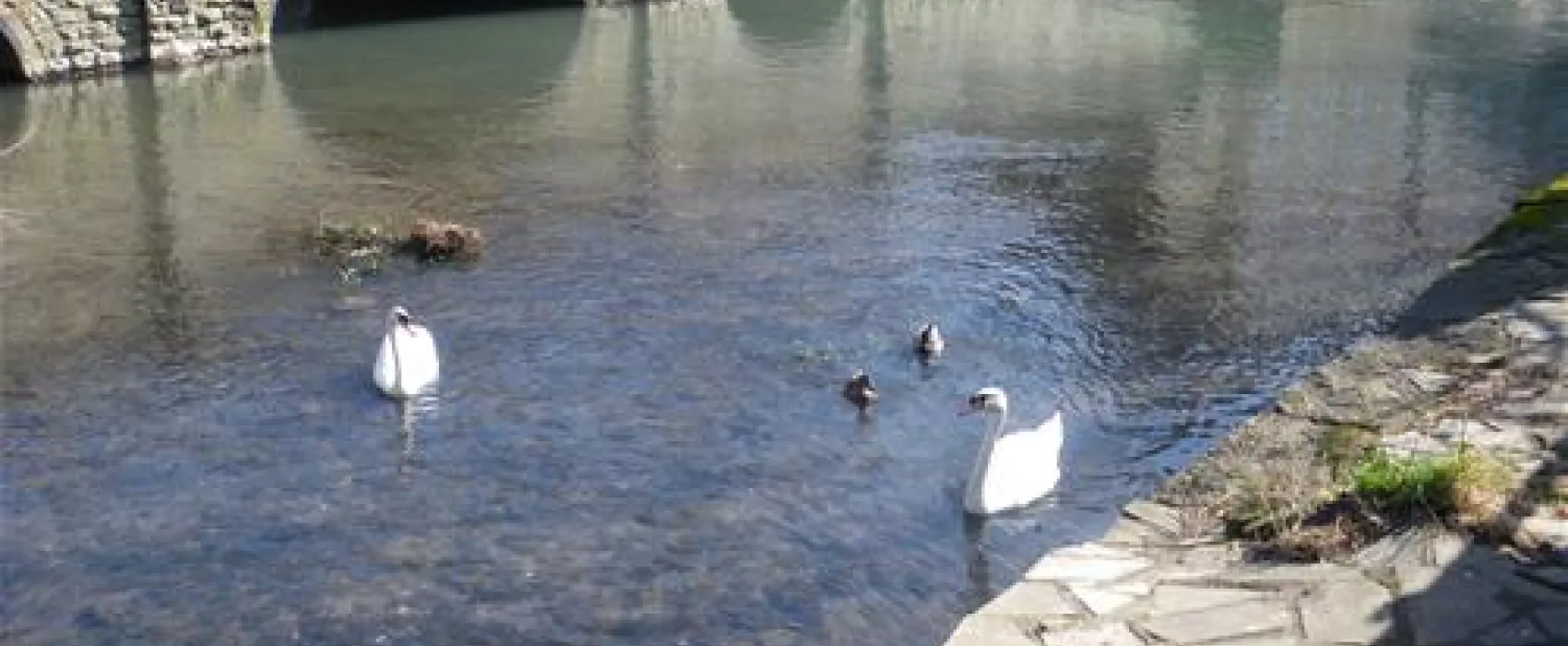 Burton Hill Caravan and Camping Park