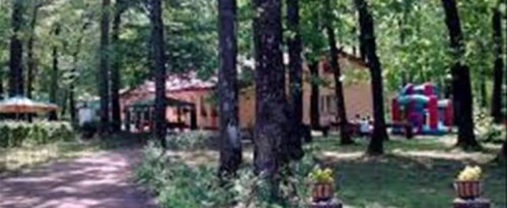 Camping Forest Mirage