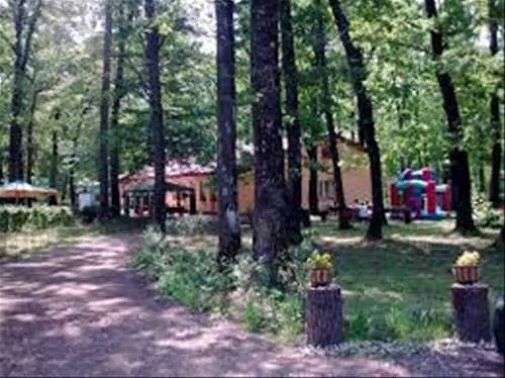 Camping Forest Mirage