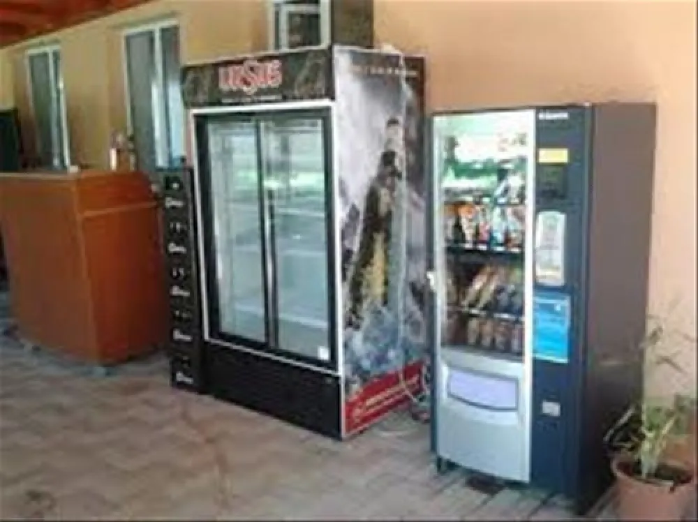 Camping Forest Mirage