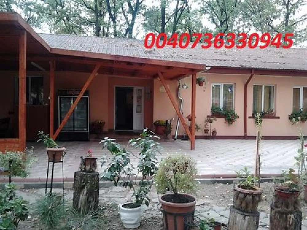 Camping Forest Mirage