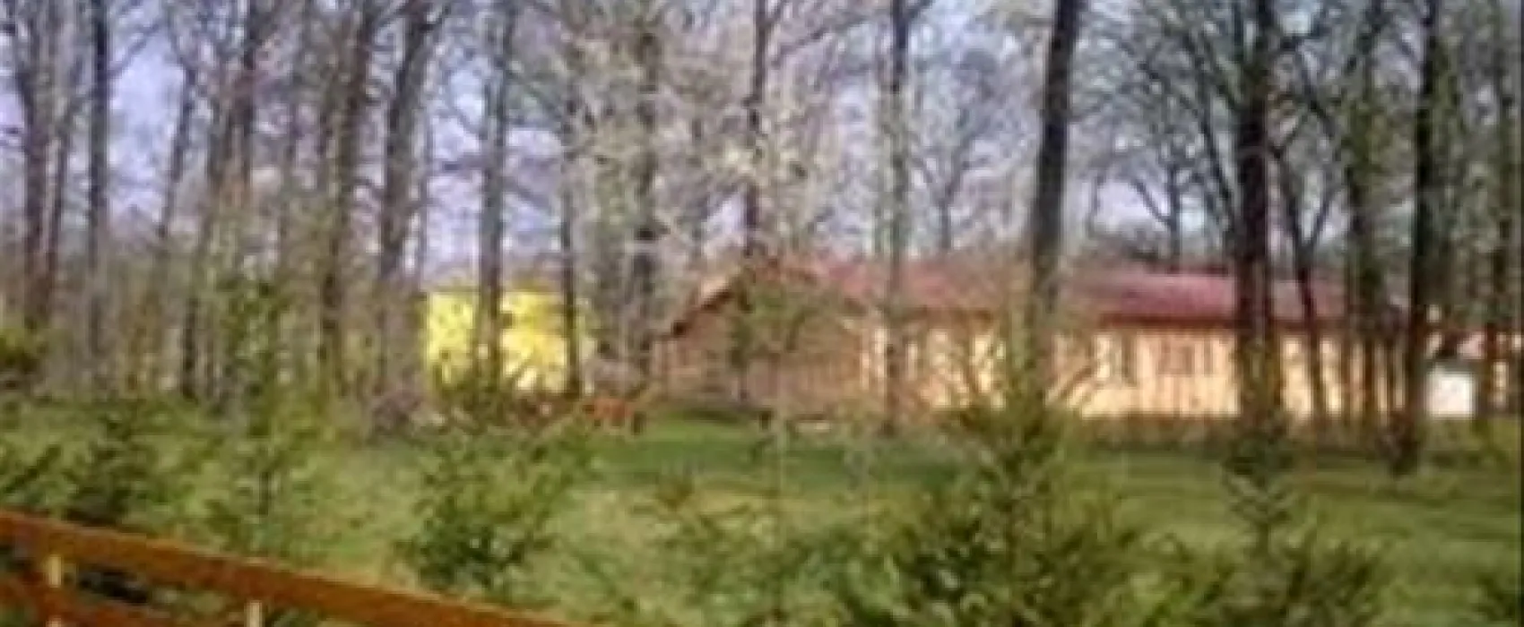 Camping Forest Mirage