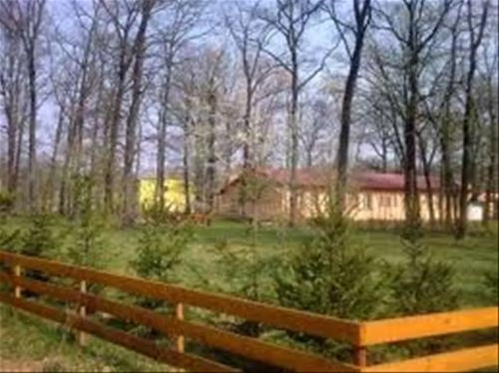 Camping Forest Mirage