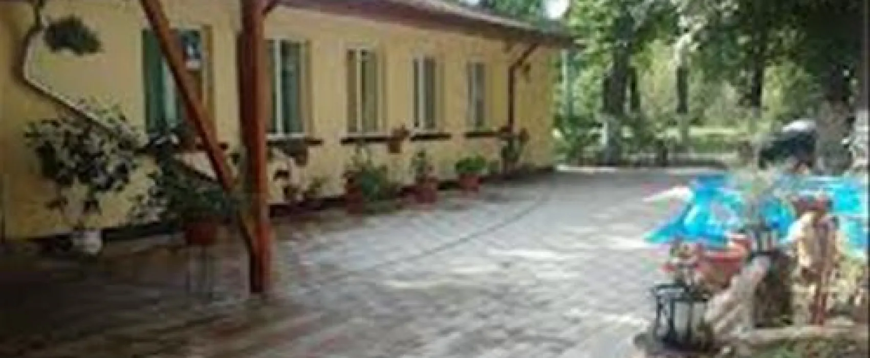 Camping Forest Mirage