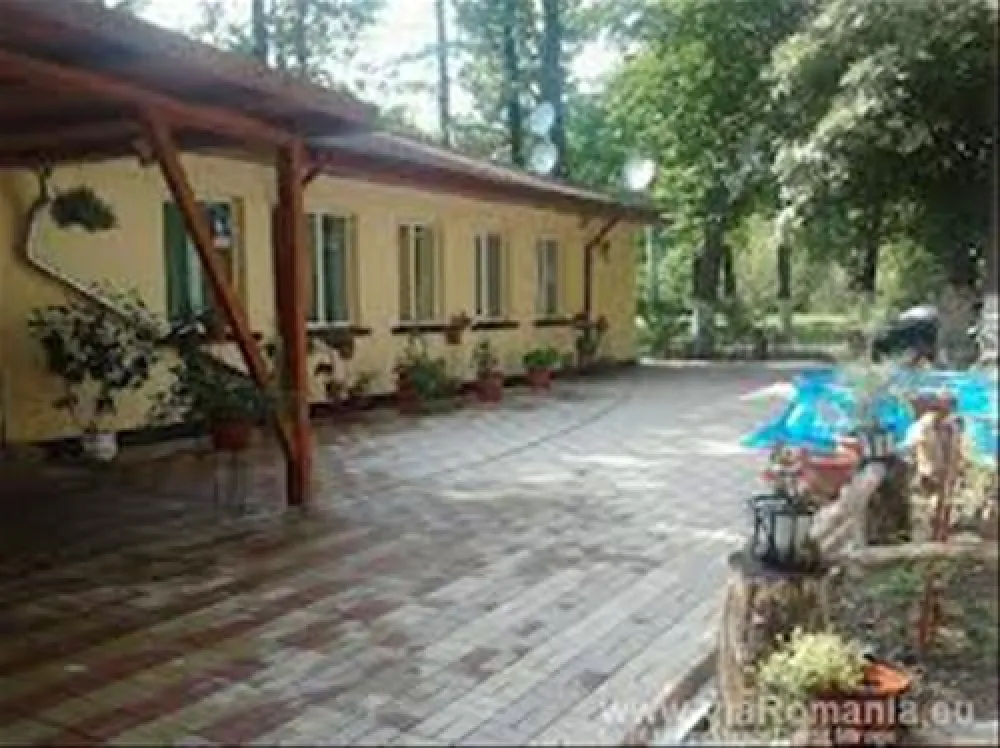 Camping Forest Mirage