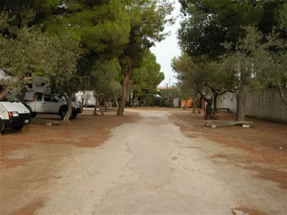 Camping Il Maggiolino