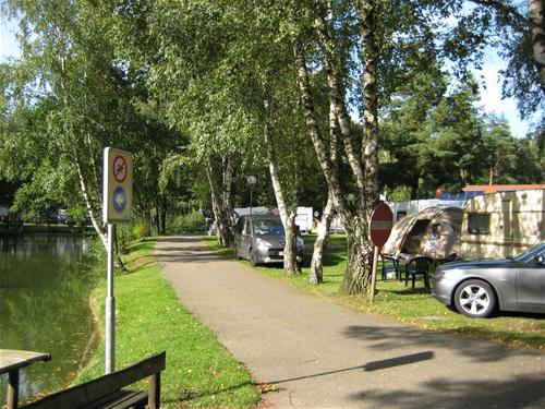 Camping Zavelbos photo 4