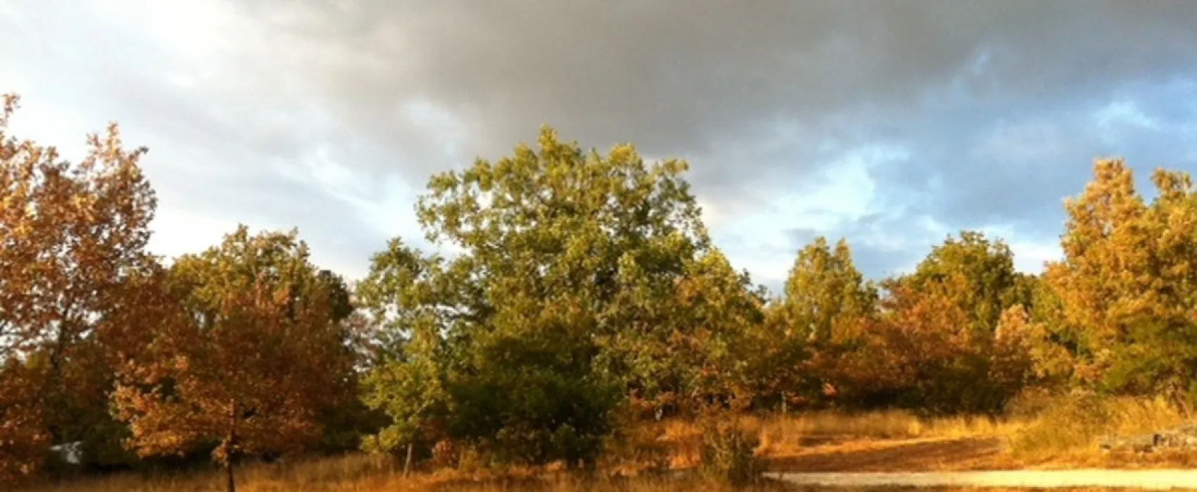 Aux Lodges du Mas de Nadal