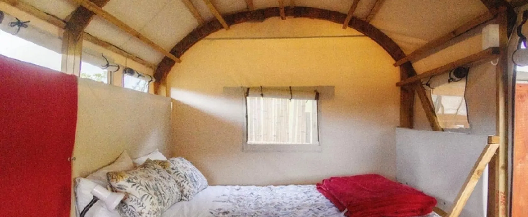 Ox Wagons @ Bergrivier Eco Retreat