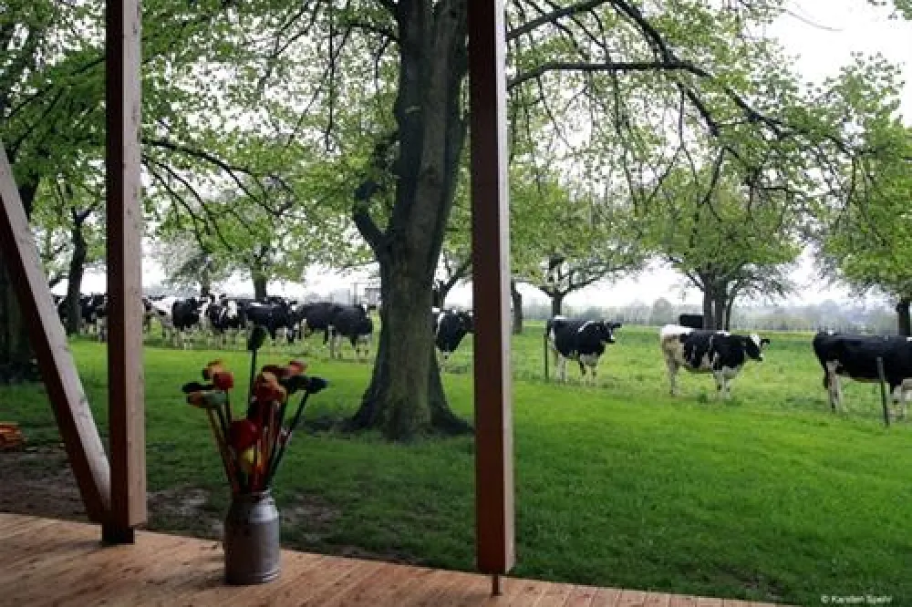 MiO-Minicamping Ottendorf