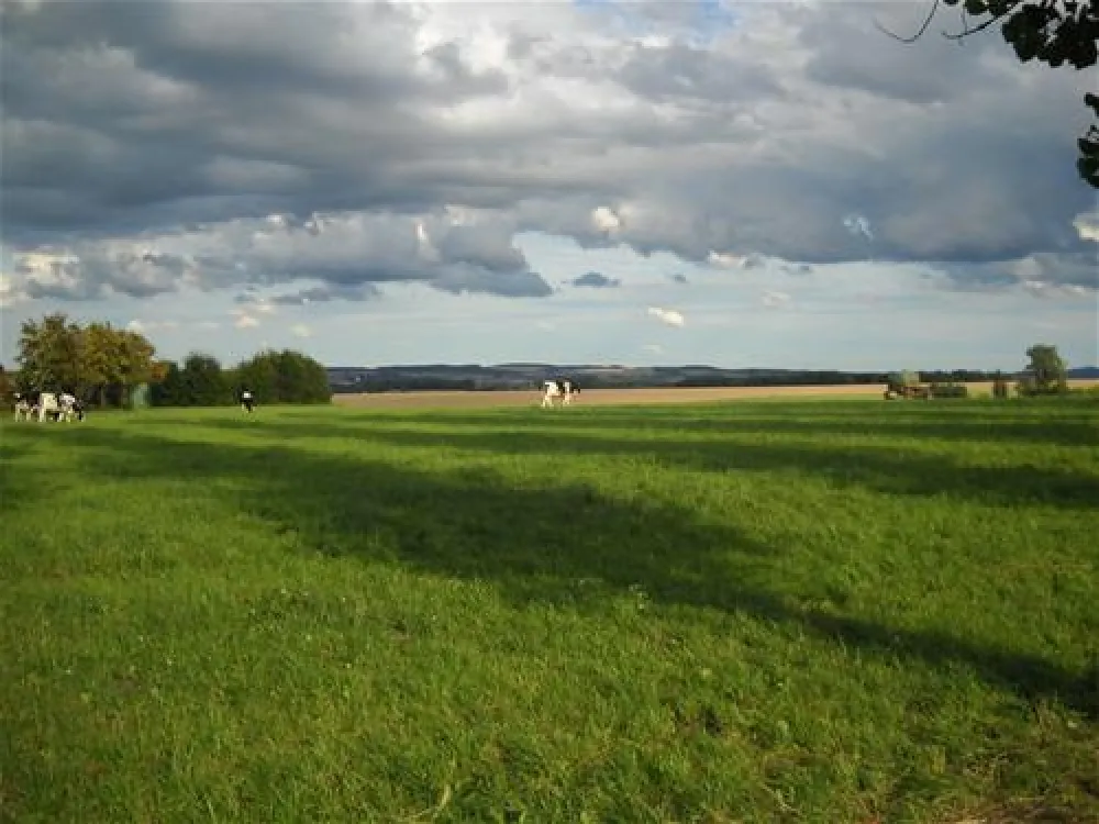 MiO-Minicamping Ottendorf