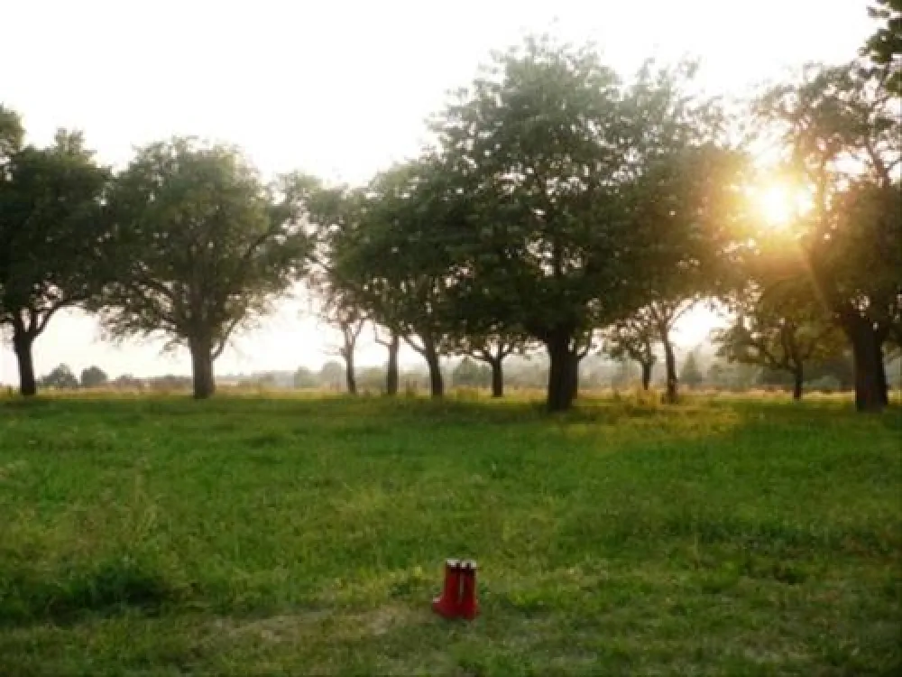 MiO-Minicamping Ottendorf