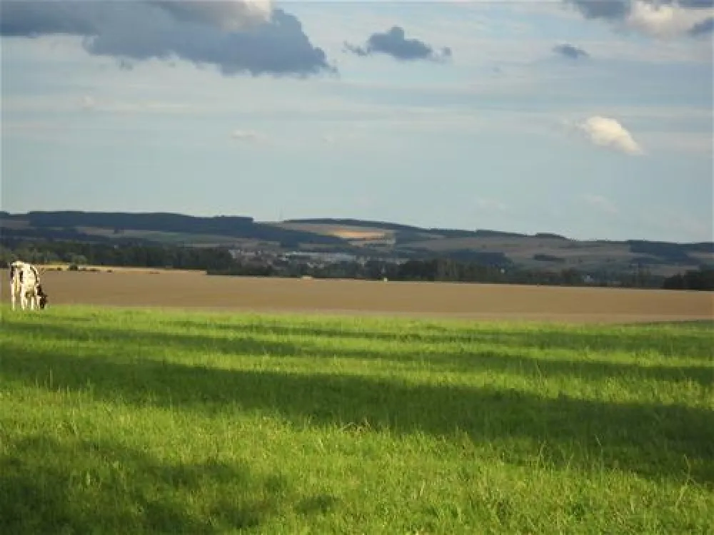 MiO-Minicamping Ottendorf