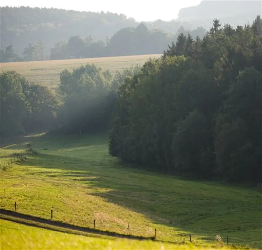 MiO-Minicamping Ottendorf
