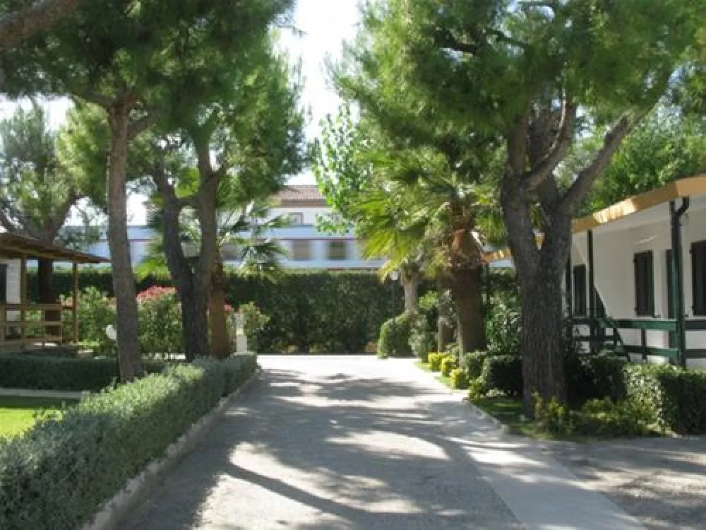 Camping Villaggio Calypso