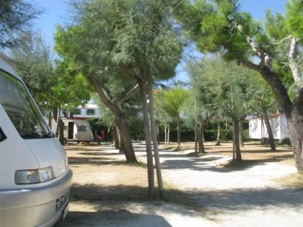Camping Villaggio Calypso