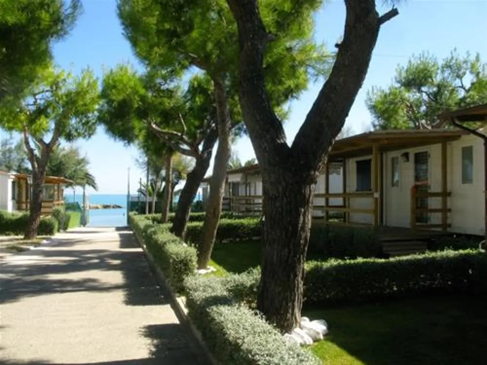Camping Villaggio Calypso