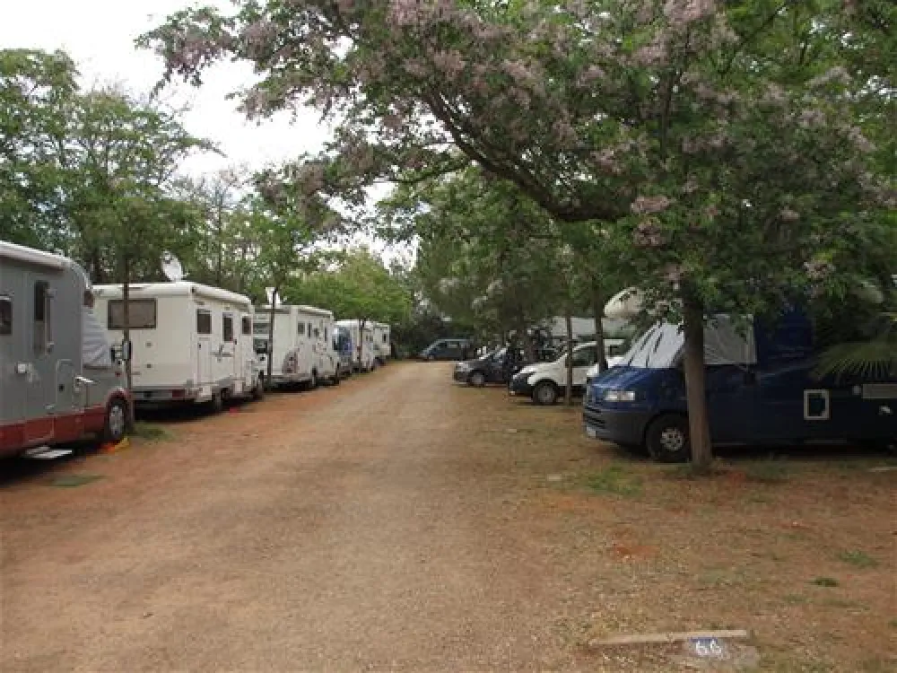 Camping Villsom