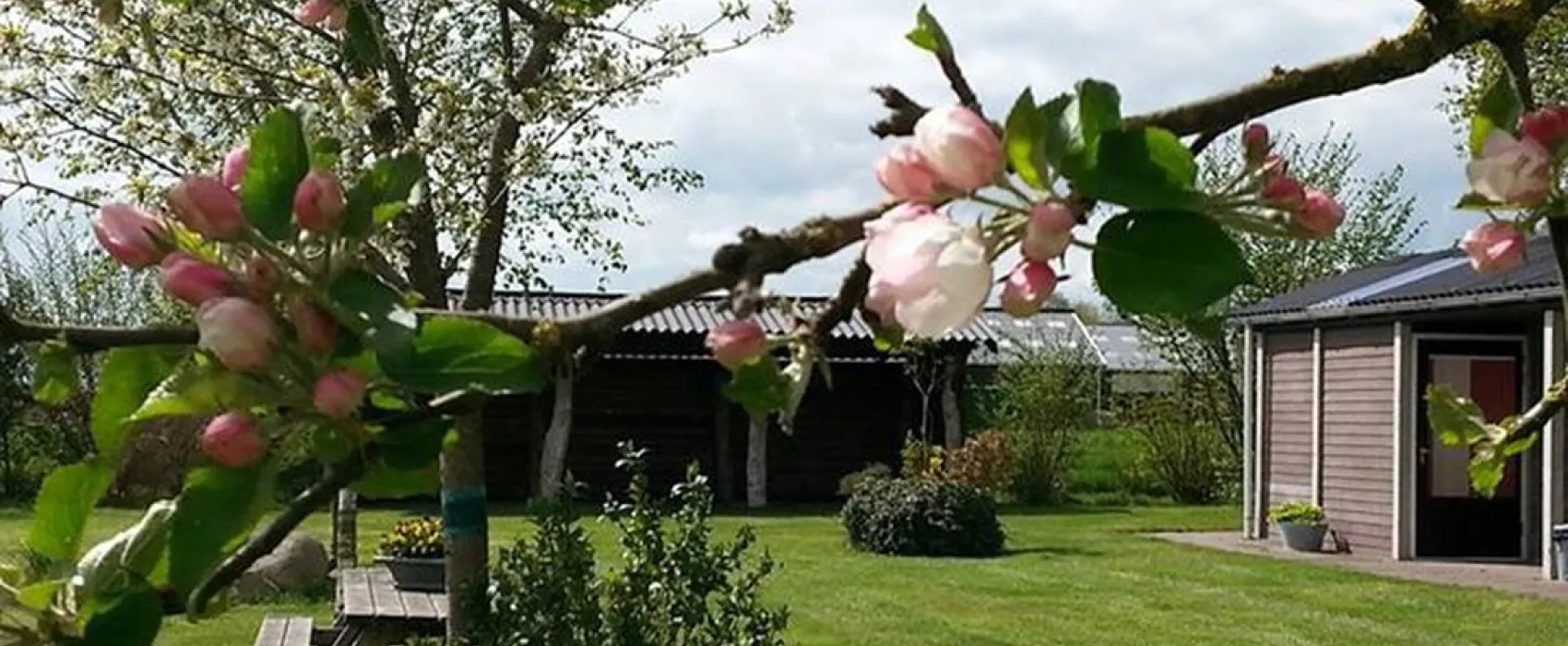 Minicamping Loeksham