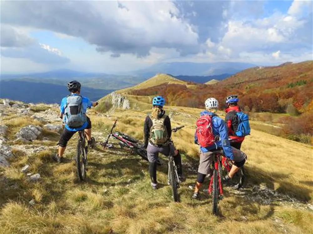 Camping Chalets Koren