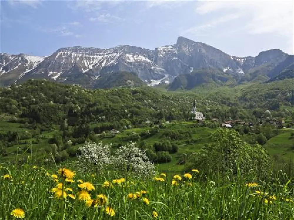 Camping Chalets Koren