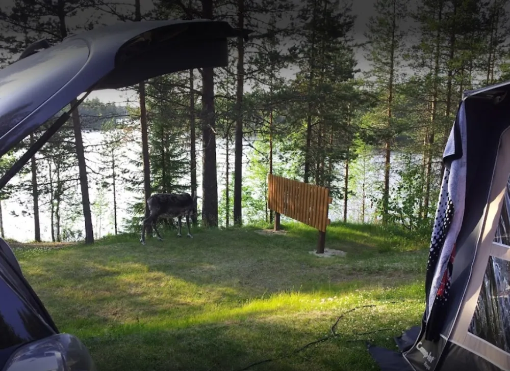 Rantatropiikki Camping