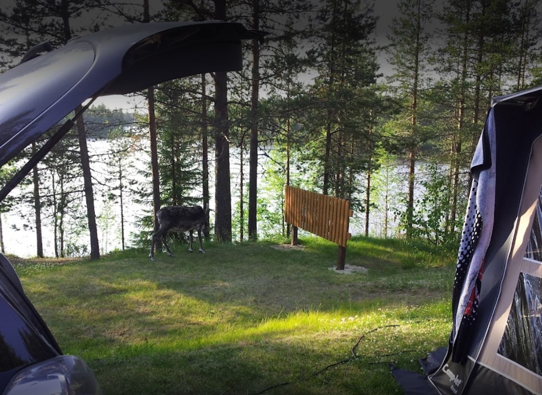 Rantatropiikki Camping - Photo 3