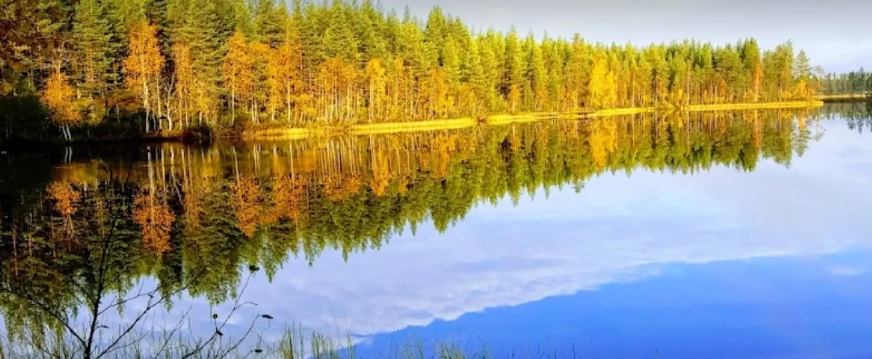 Rantatropiikki Camping