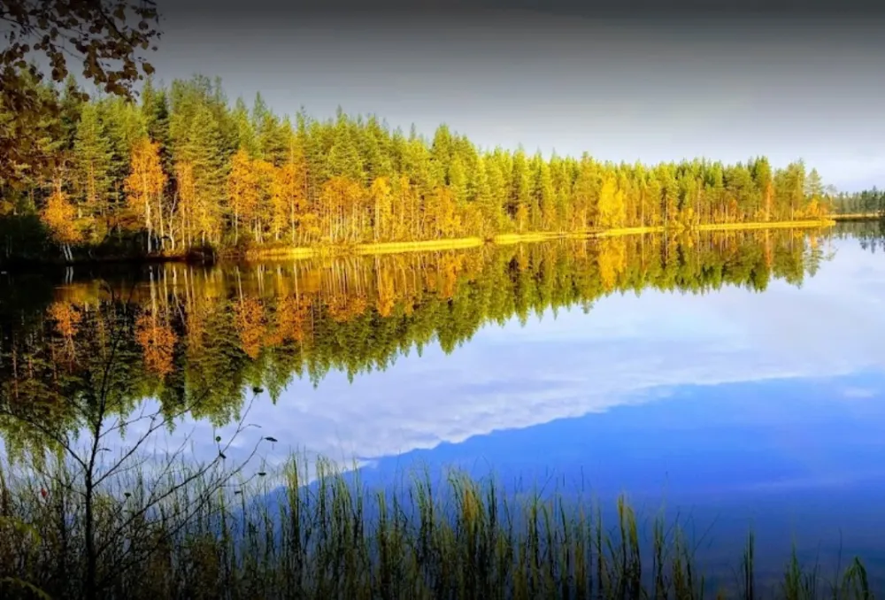 Rantatropiikki Camping