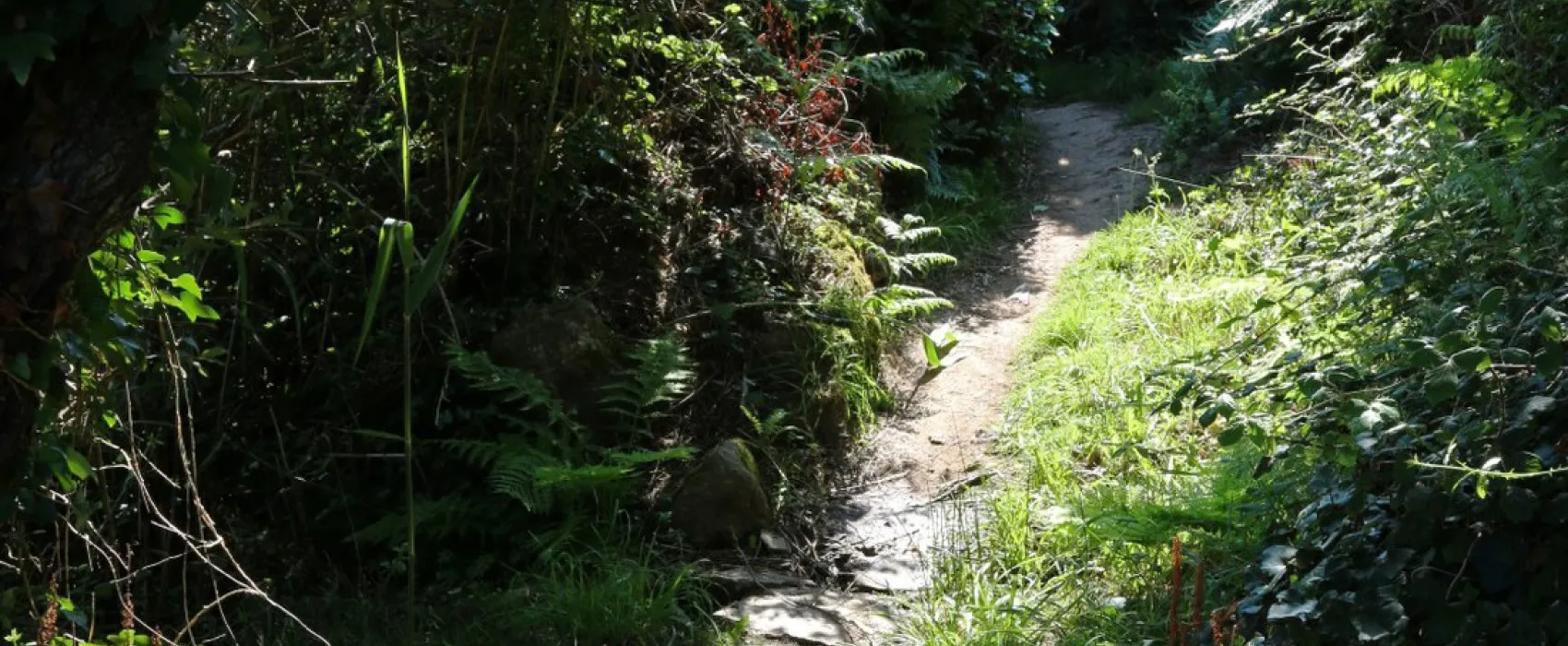 Camping Le Panoramic