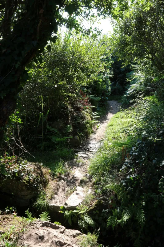 Camping Le Panoramic