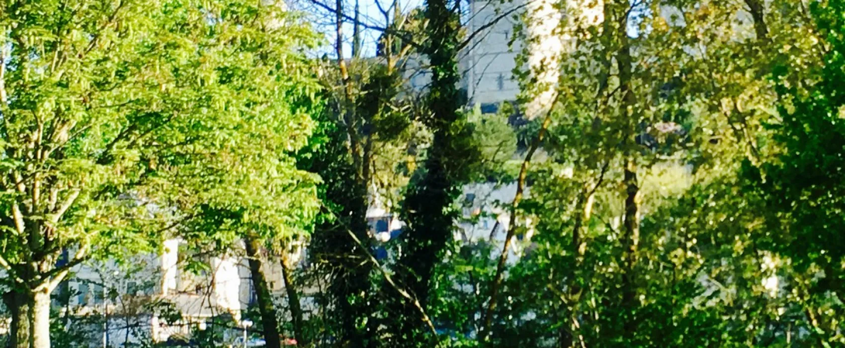 Camping de l'Ile Auger