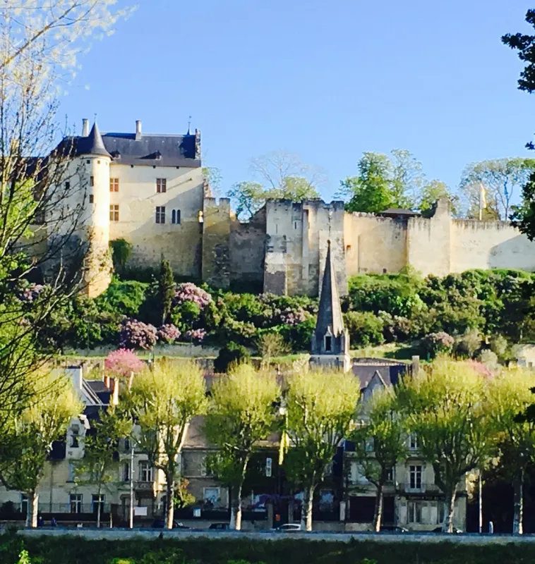 Camping de l'Ile Auger