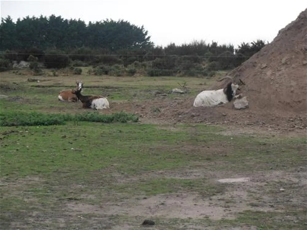 Camping du port Landrellec