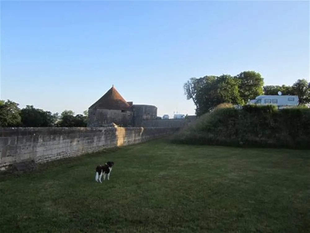 Camping Municipal Navarre