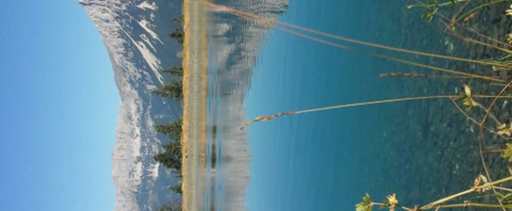 Euro Camp Wilder Kaiser