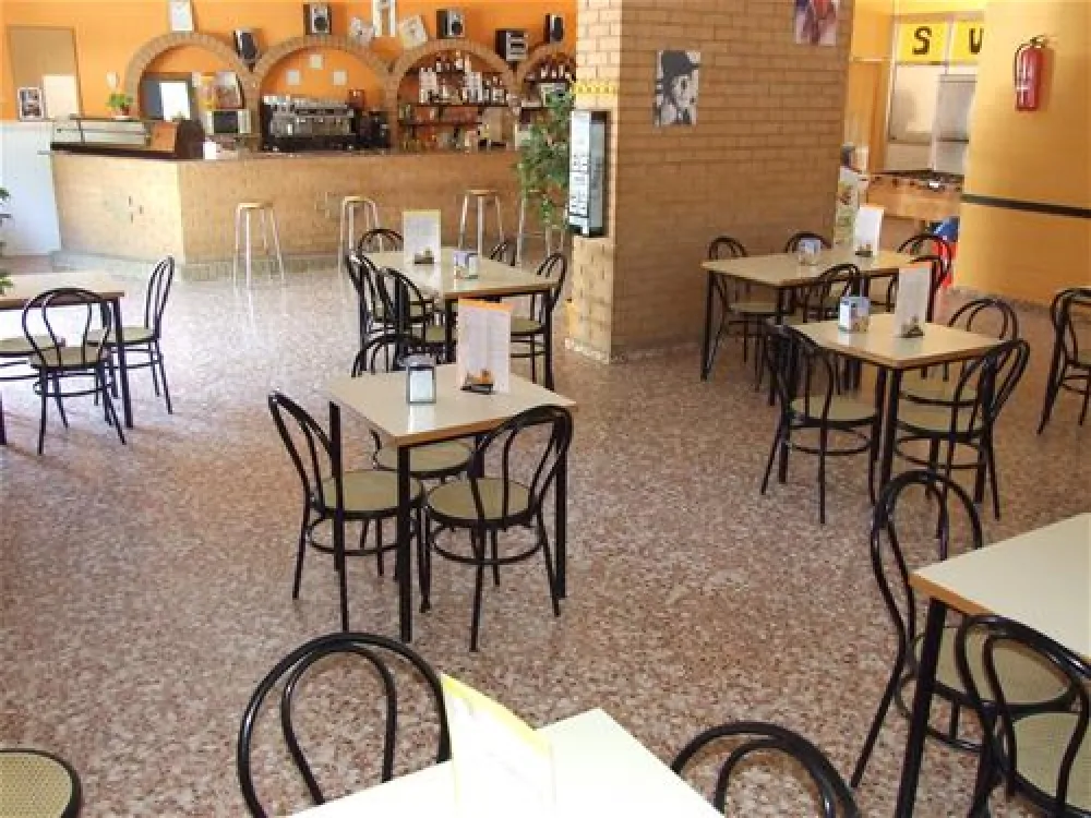 Camping los Naranjos