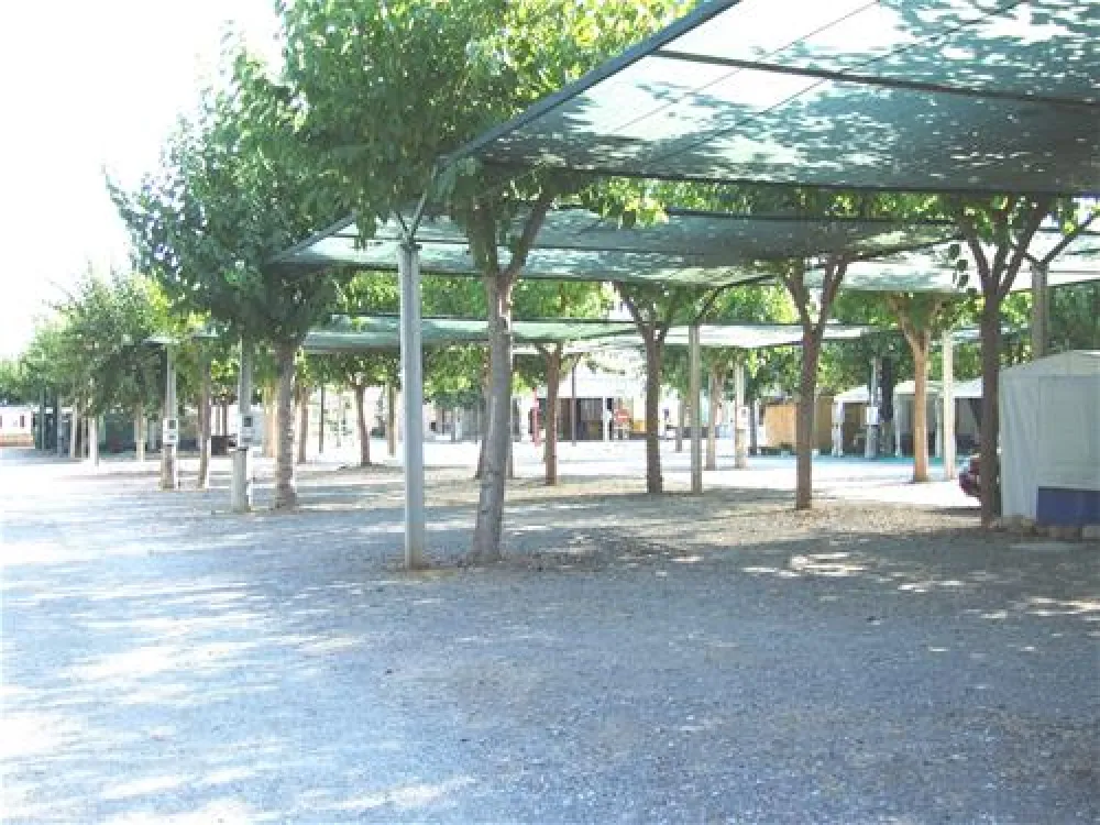 Camping los Naranjos