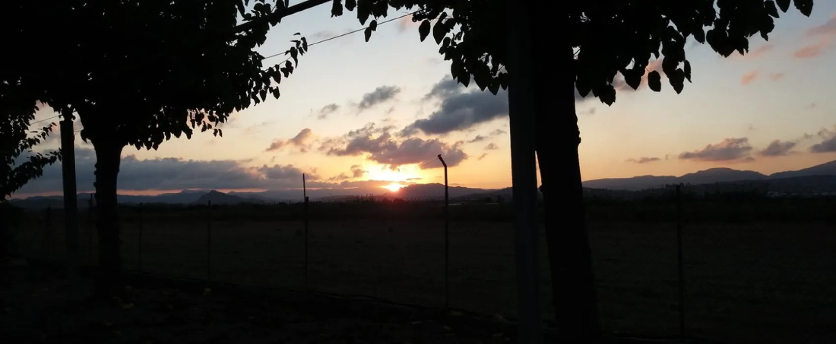 Camping los Naranjos