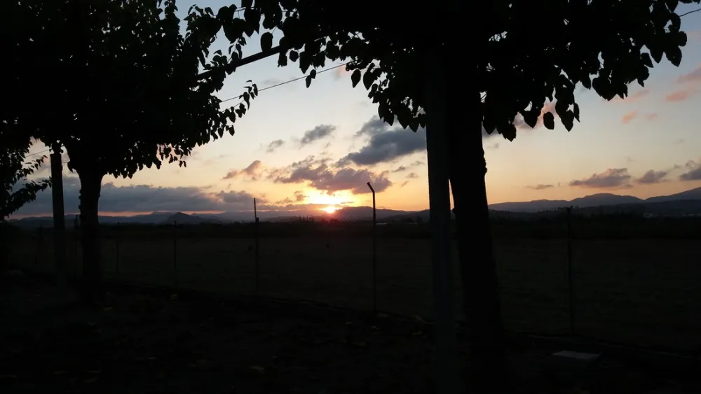 Camping los Naranjos