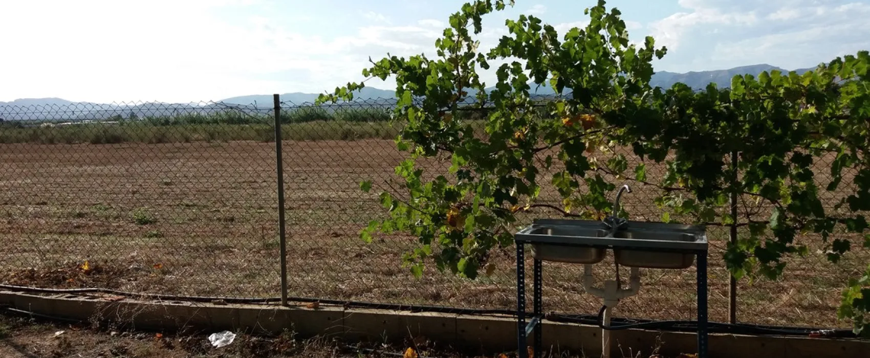 Camping los Naranjos