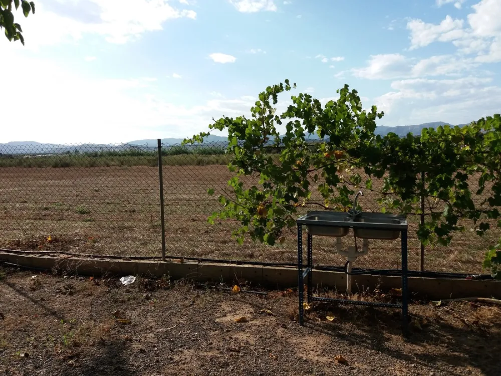 Camping los Naranjos