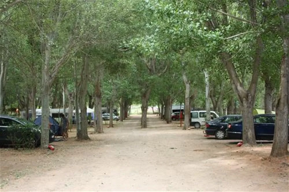 Camping Montesinos
