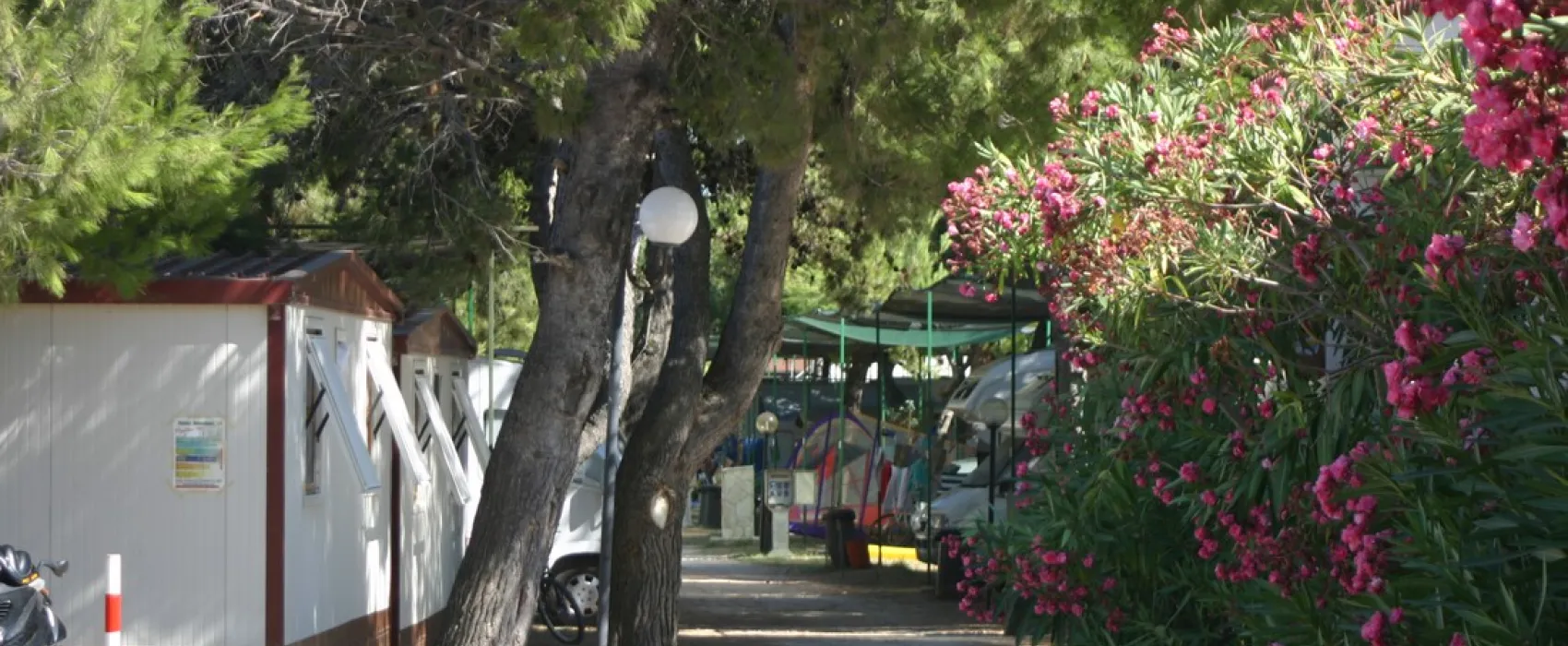 Camping Spiaggia Lunga